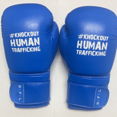 BFL Blue Gloves - Size 12oz Thumbnail